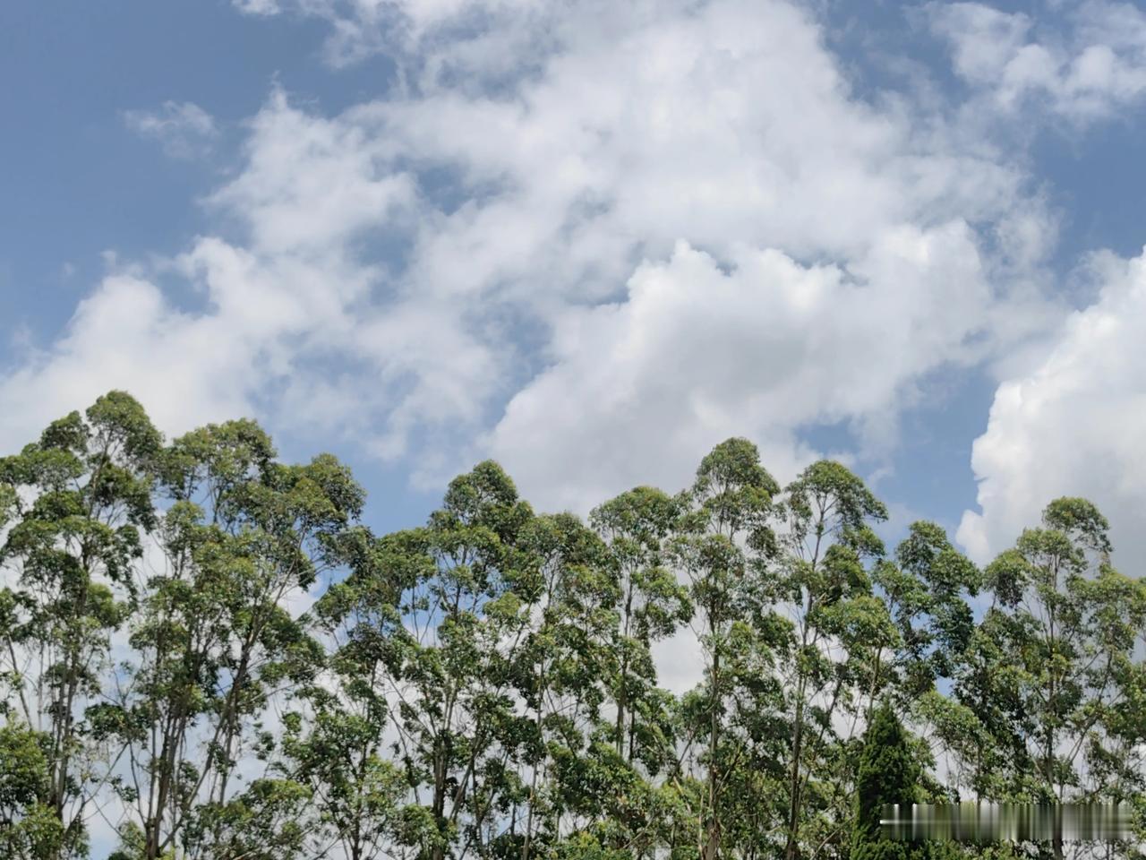 德化县，泉州北部的一个县，在厦门北部100多公里，不沿海，境内戴云山脉，山脉中有
