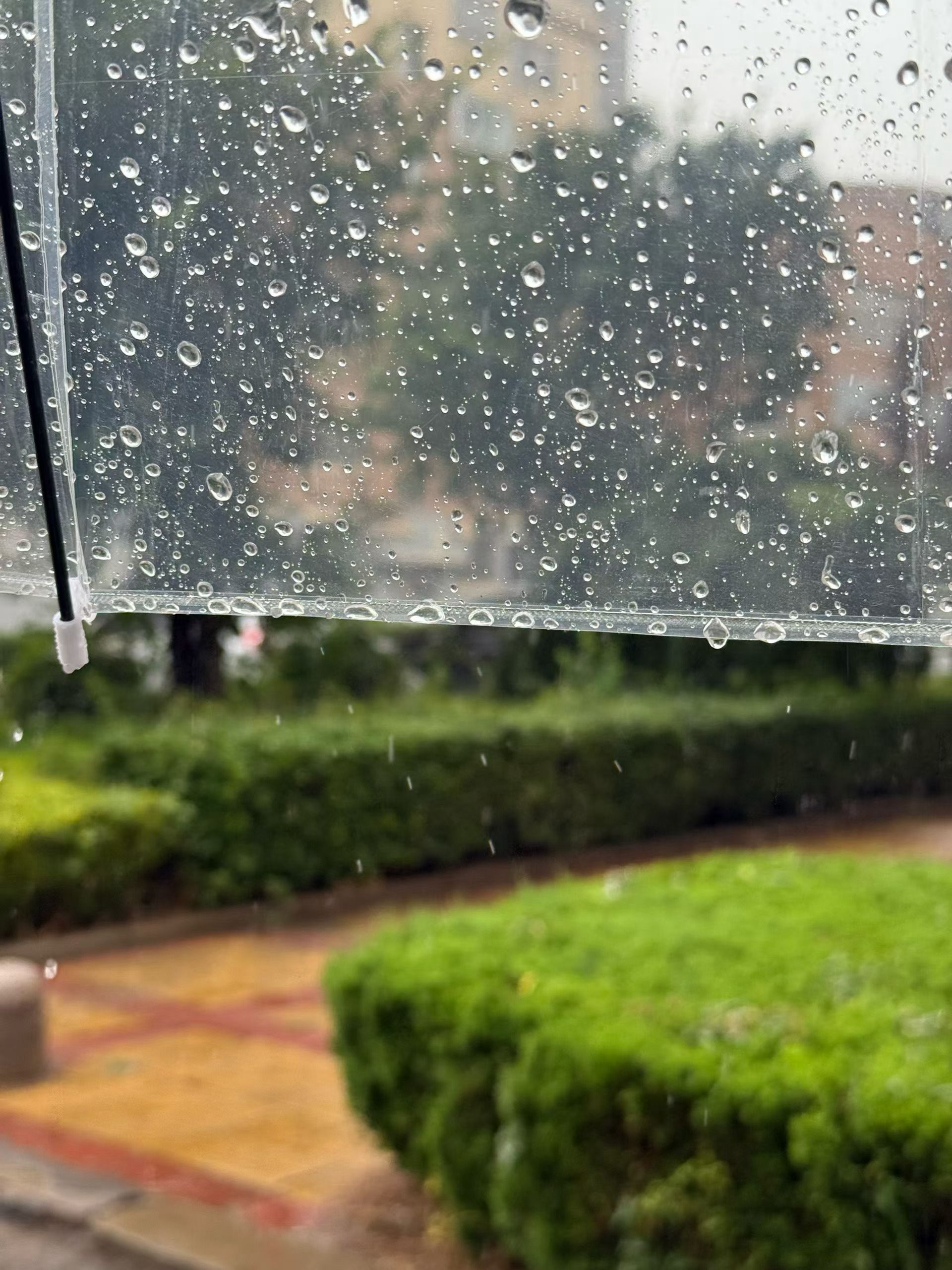 下大雨，打着伞“哞”的一声就去上班了