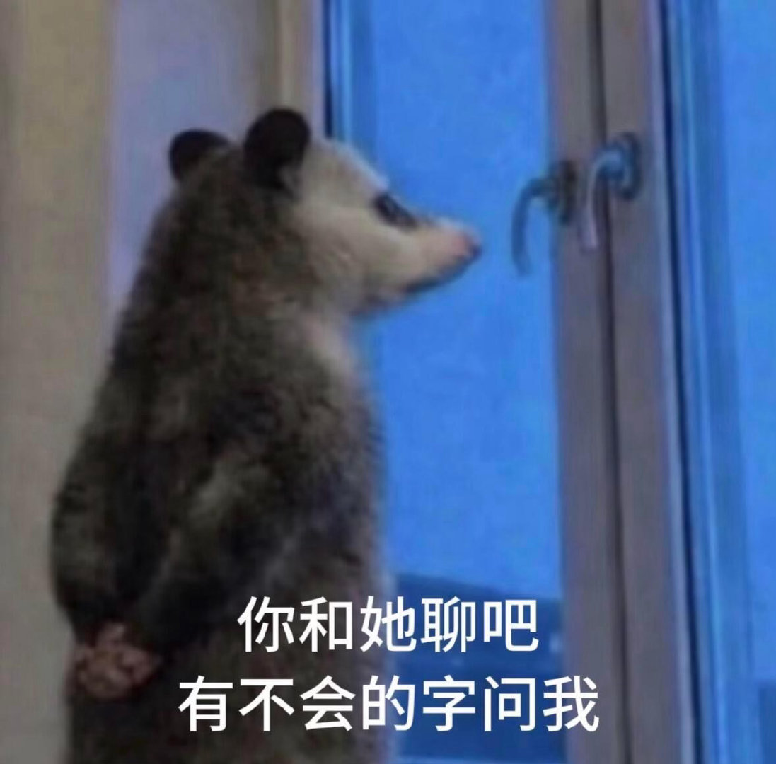 365天随机分享一组表情包之负鼠表情包
