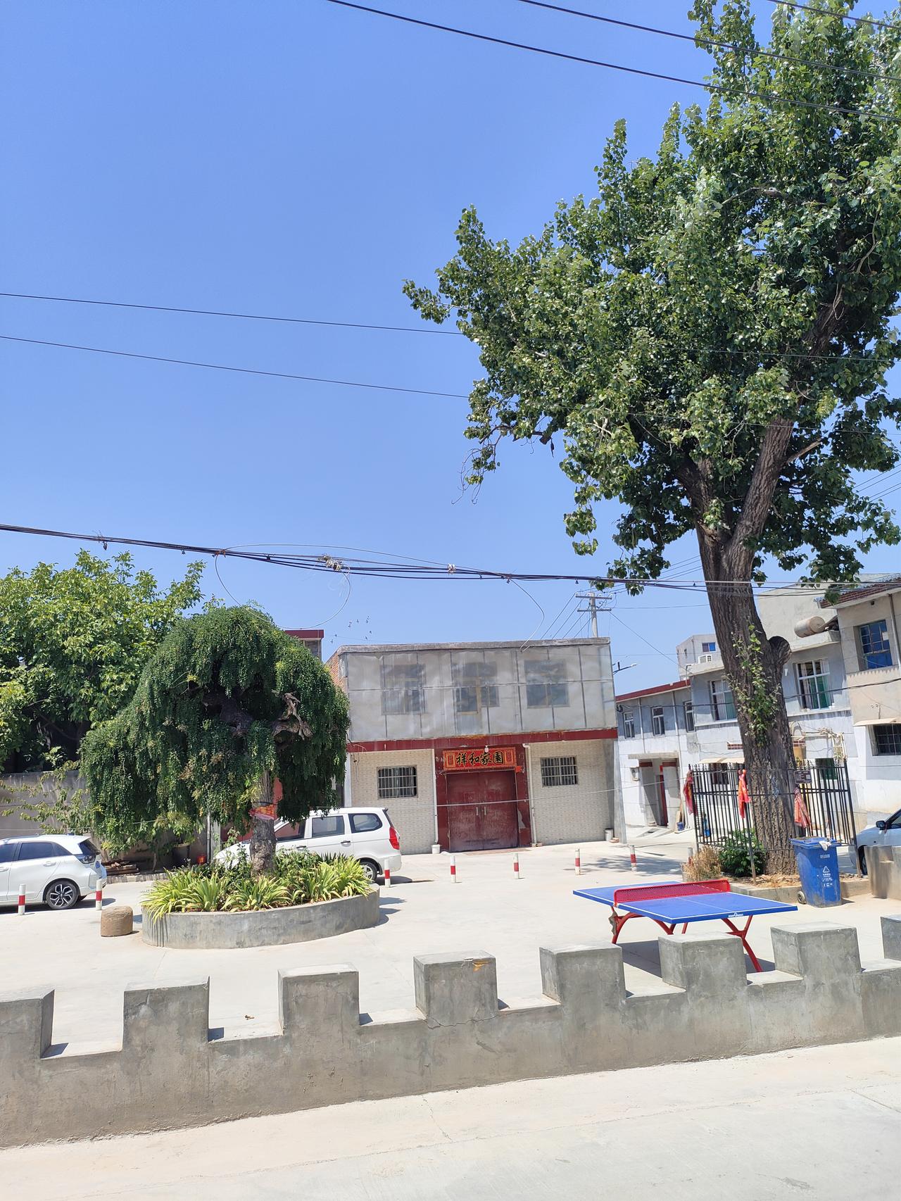 ​
2. 夏日村庄，老树晴空，寻常院落藏着悠闲时光。