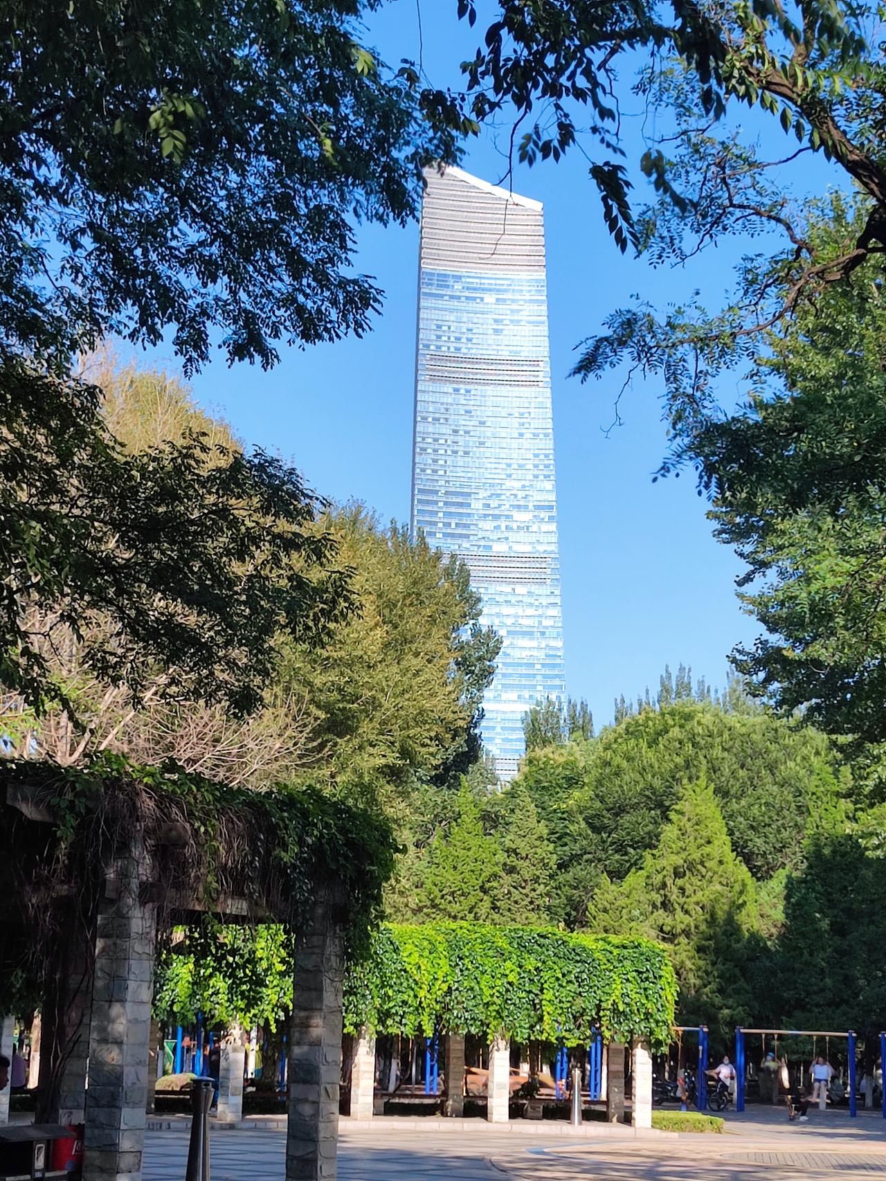 八一公园景色美。夏日时节，沈阳八一公园绿树成荫，鲜花开放，远处高楼矗立，增添了园