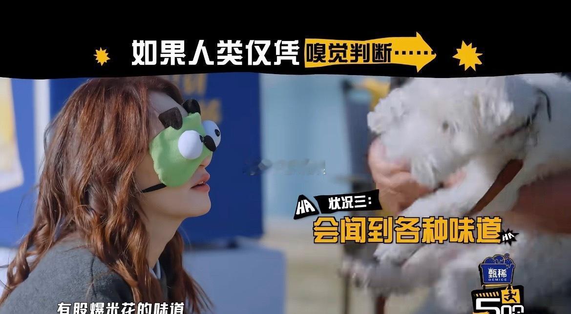 李小冉被气哭了她真的很在乎她的小狗，蒙眼闻小狗脚说有爆米花的味而且还闻出谁是她的
