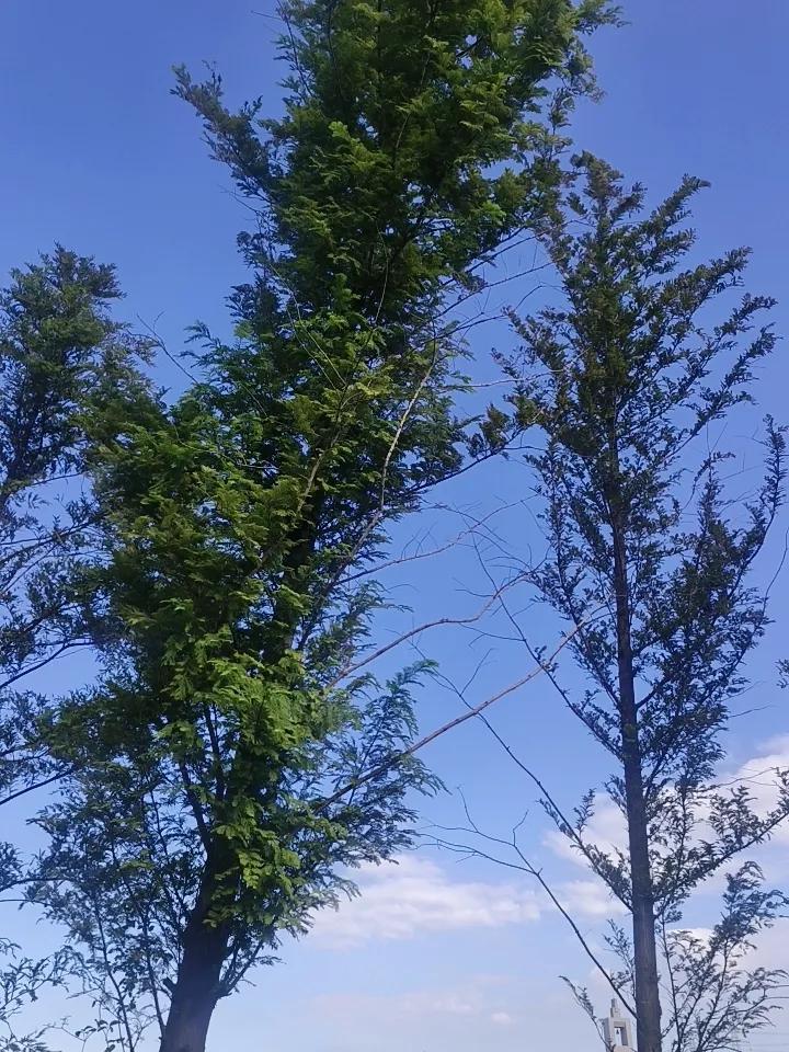 有的人就算不聊天不见面，平时也不发一条信息，但是心里稳稳的住着一个人，这个人他曾