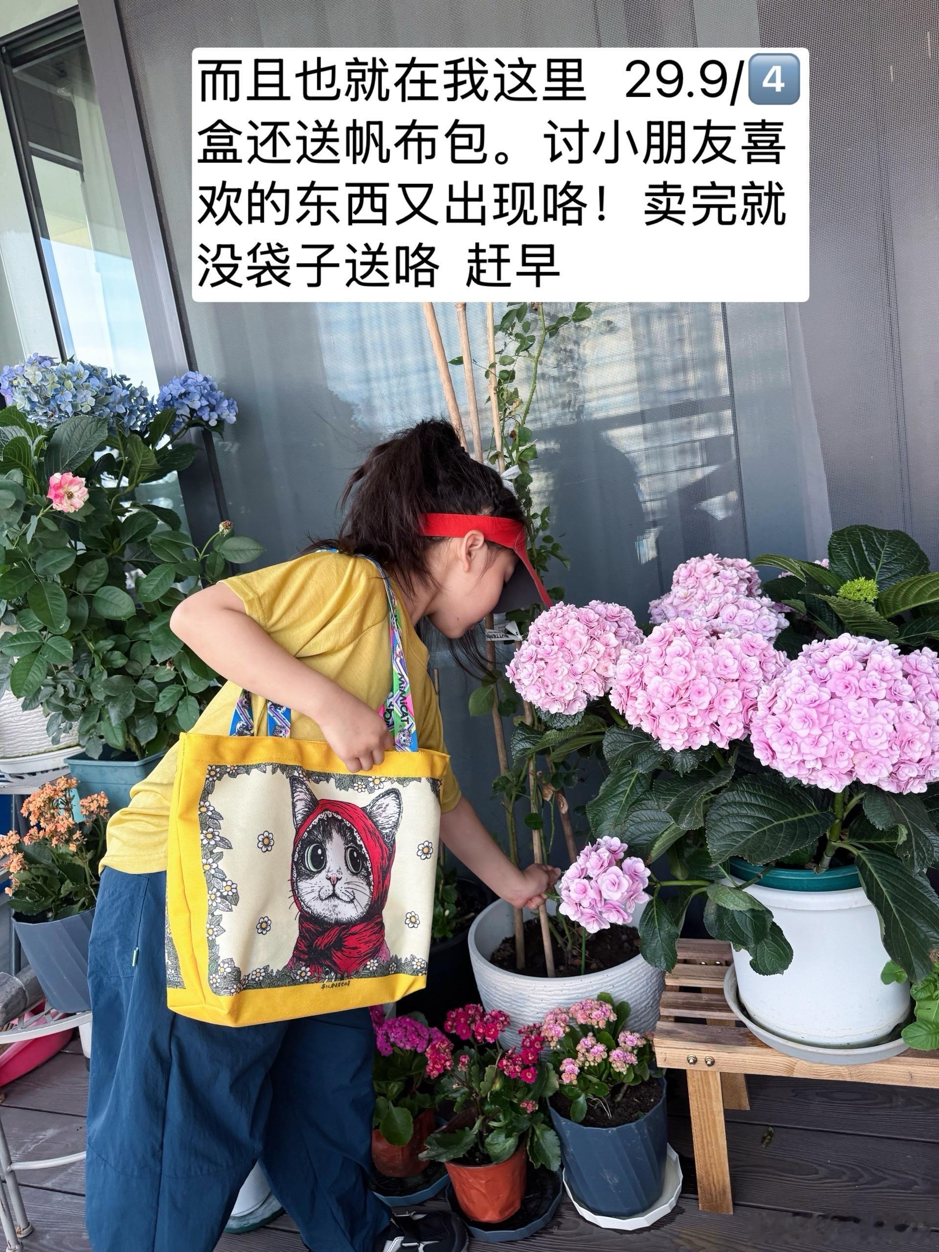 意外的好吃，微酸清香而不腻。和可可脆在心里并列第一了现在。 