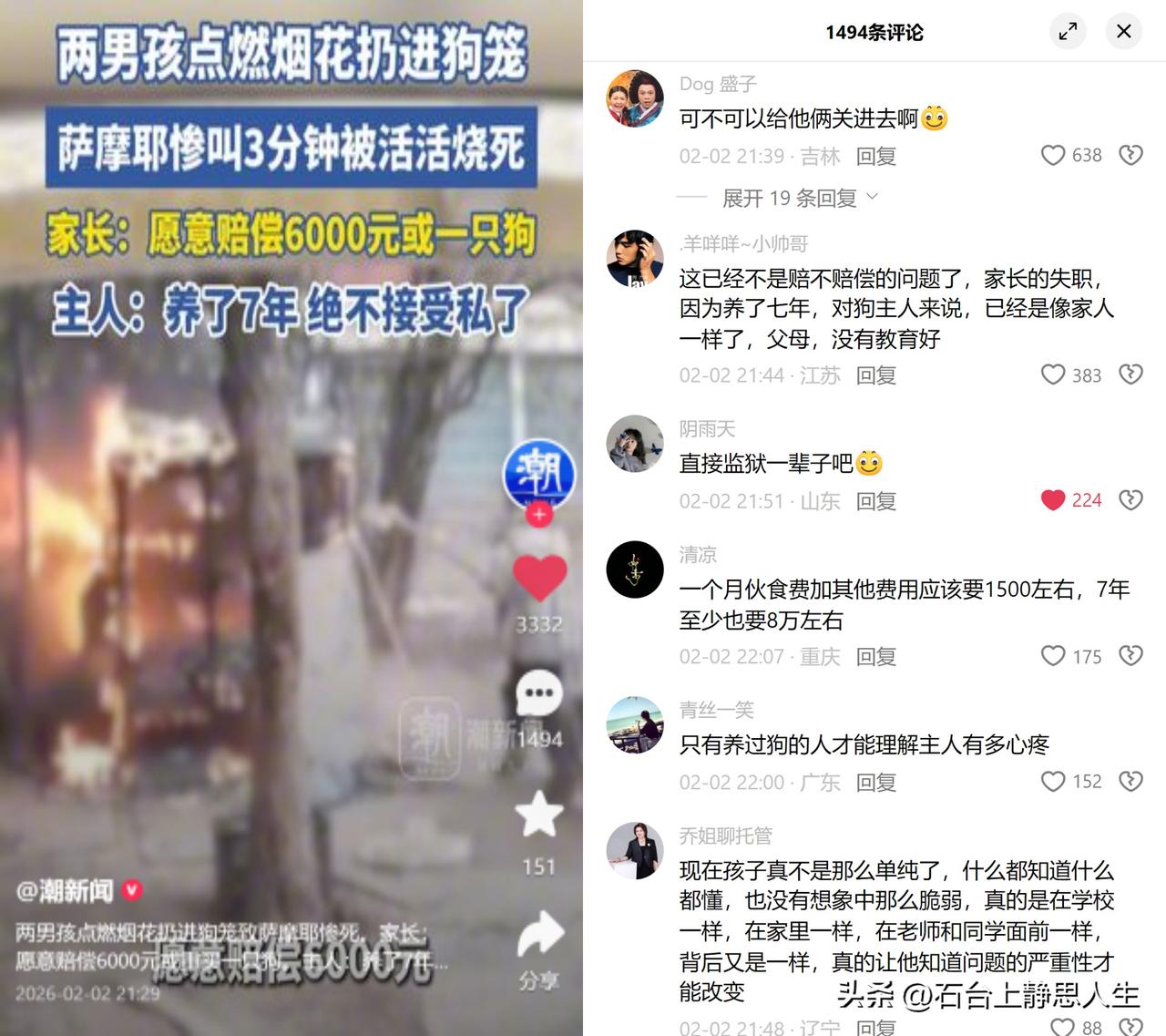 7年萨摩耶被烧，家长赔6000私了遭拒

江苏连云港两个男孩将点燃的烟花扔进