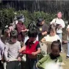 “上人民日报了!” 安徽，一名路人调皮摇桂花树，结果，桂花纷纷飘落，孩子们在树下