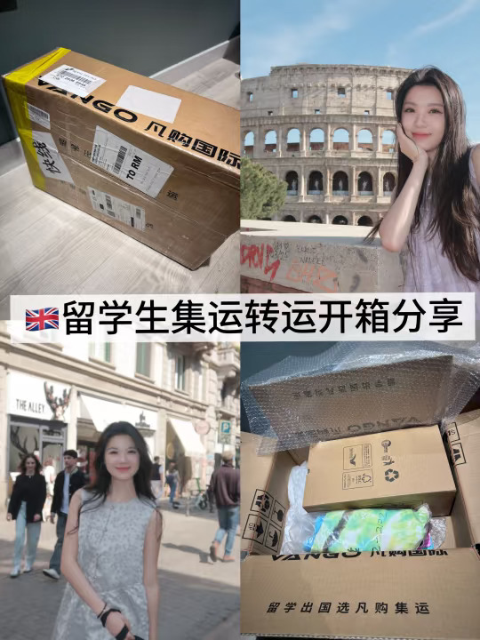 🇬🇧转运限时5日达 急件有救噜！