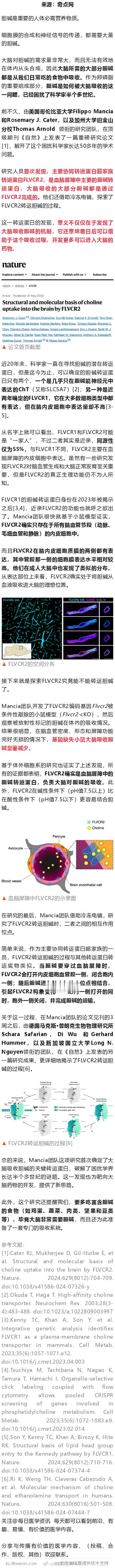 《自然》：破解50年谜题！大脑吸收蛋黄中胆碱的转运蛋白，终于找到了 ​​​