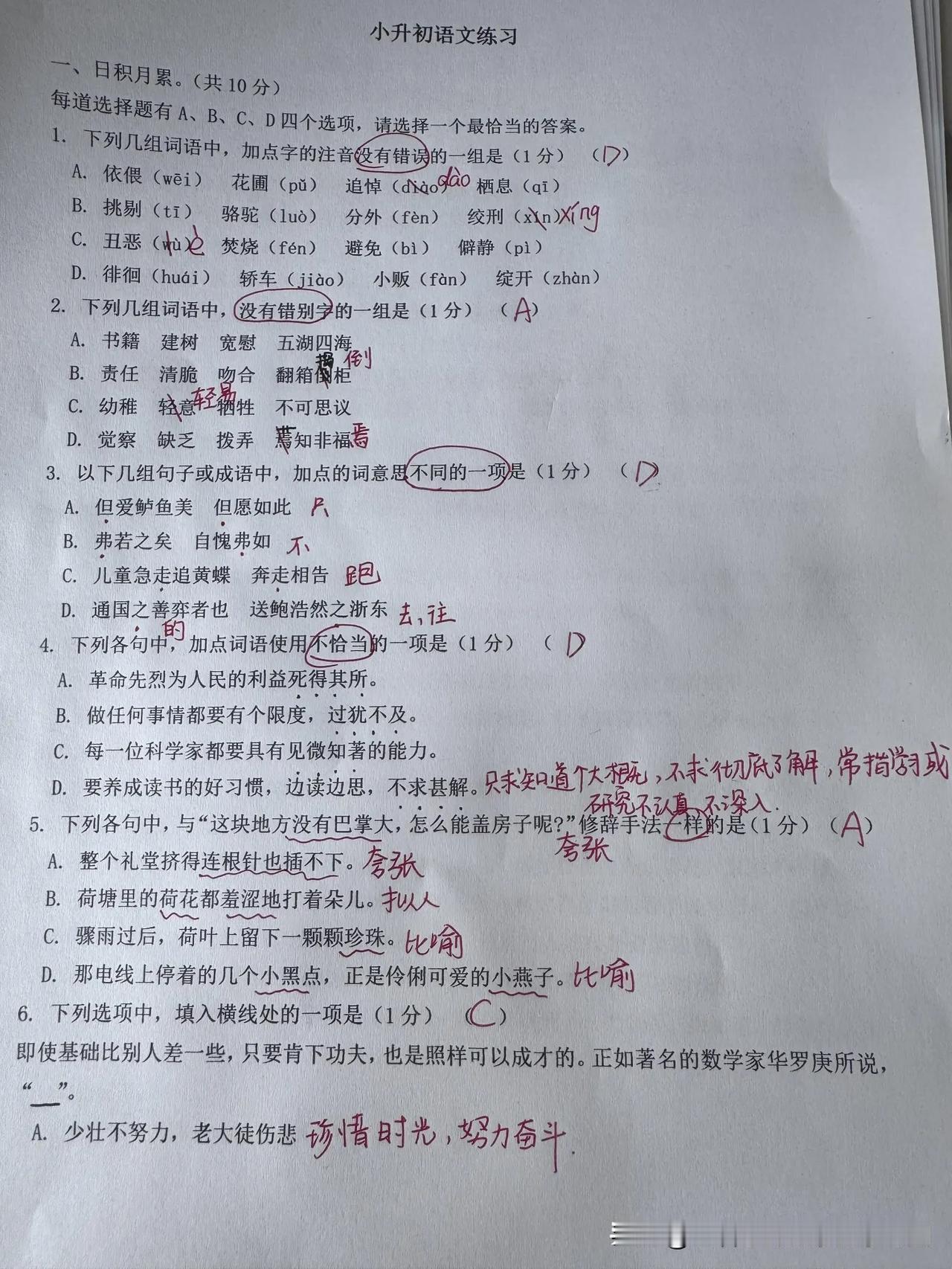 2025小升初语文试卷新鲜出炉