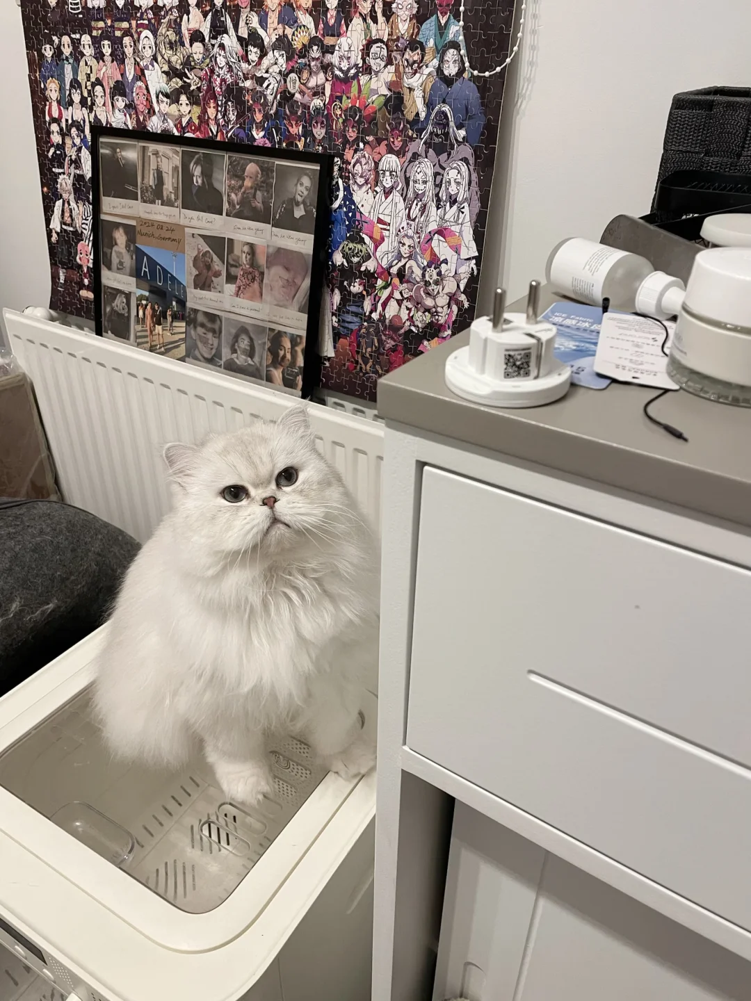 糯糯ber洗完澡变得香香软软哒