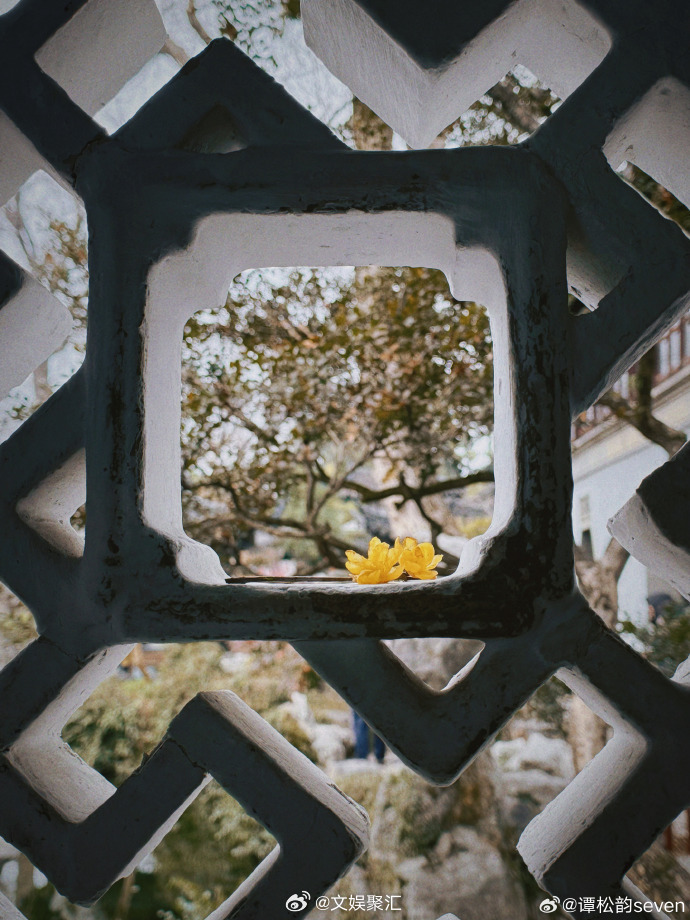 谭松韵含谭摄量100% 谭松韵告别3月plog   谭松韵含谭摄量 100% 谭