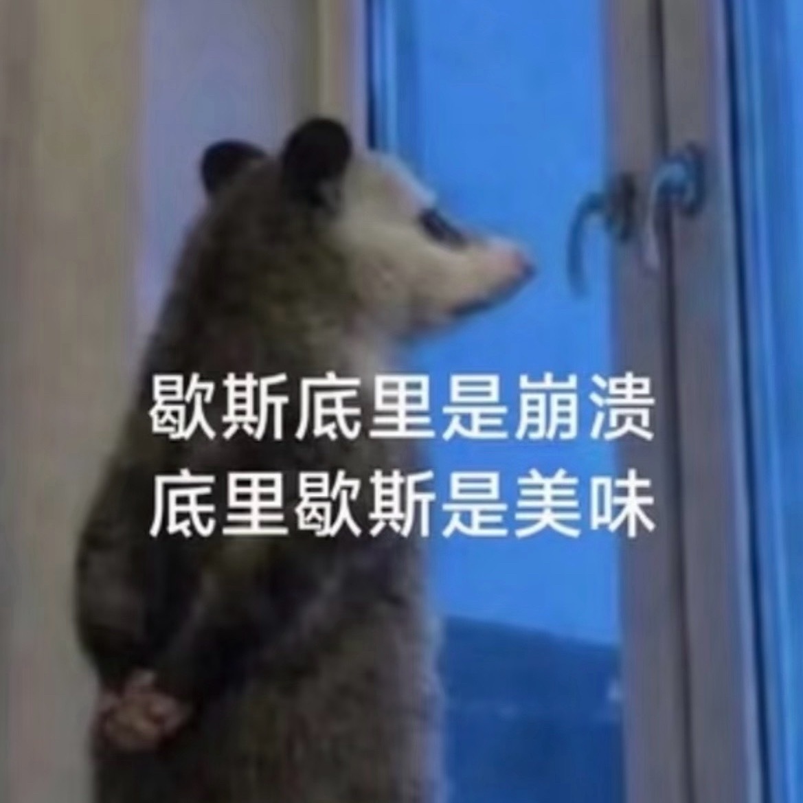 还好不是我崩溃。 