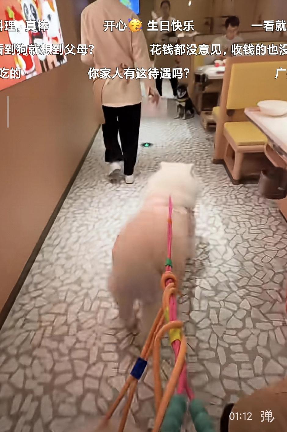 为什么现在很多人喜欢动物比喜欢人更多？

这是有科学依据的。也有传统依据的。动物