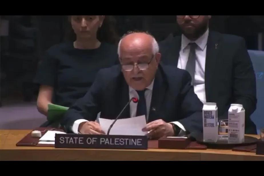 🇵🇸巴勒斯坦驻联合国大使：以色列试图阻止巴勒斯坦建国

“以色列正在寻求巩固