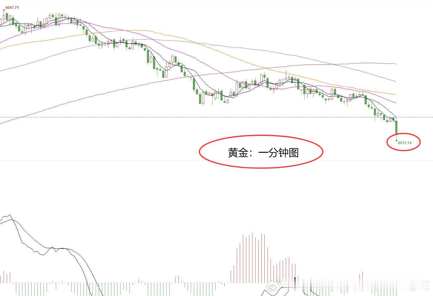 提前布局黄金4042位置空，现报4031位置已有110个点！博文跟随者利润达到8