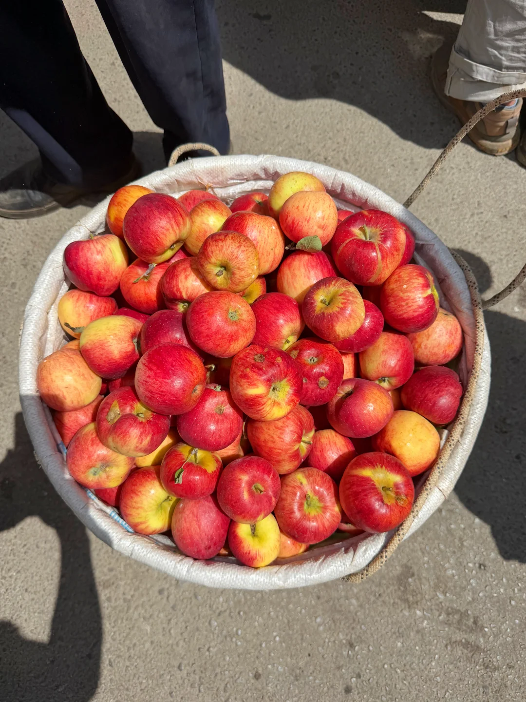 同样是🍎，图1️⃣和图2️⃣的价格相差一半？