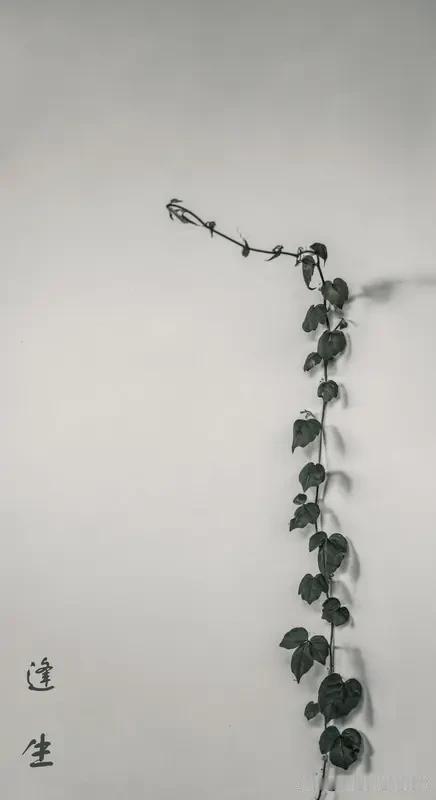 没工作又没钱时，先别慌，有办法生存。紧急阶段，先解决吃住。找免费食物，搜“本地食