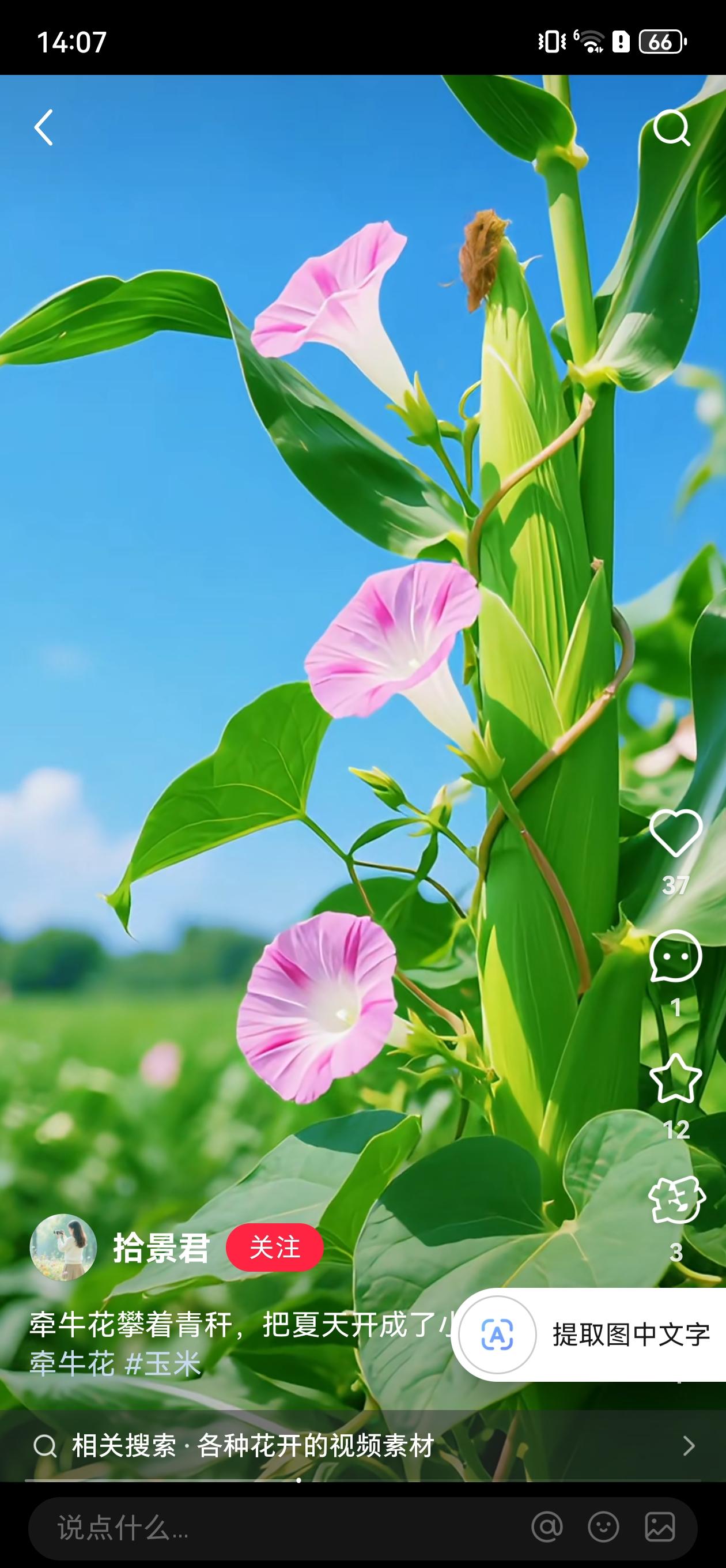 这毛笔是用硬毛牙刷做的吗？声音太大了！[捂脸][捂脸][捂脸]