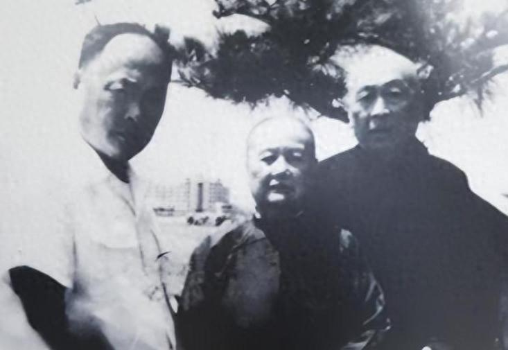 陈毅的母亲本是四川大户人家的小姐，十七岁那年，经人介绍去跟一位地主少爷相亲。陈毅