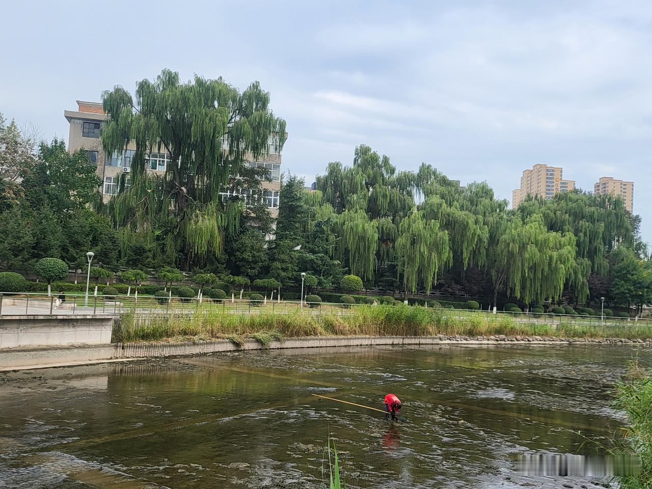 长治河道公园两岸，实打实是藏在闹市中的踏青好去处。
顺着步道慢行，风裹着漳河的潮