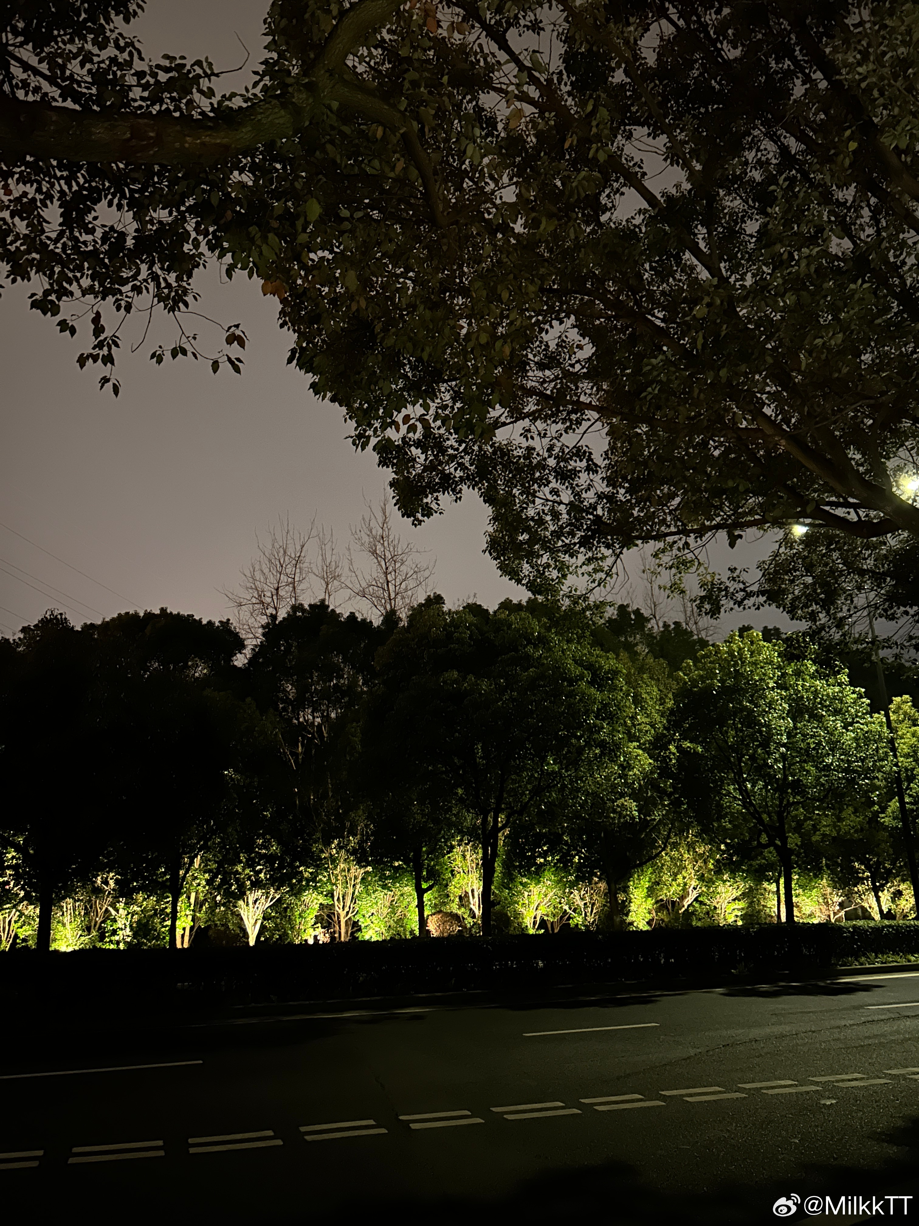 每日一善  夜色温柔，树影婆娑，暖光为城市披上温柔的外衣。每一盏灯都在守护归途，