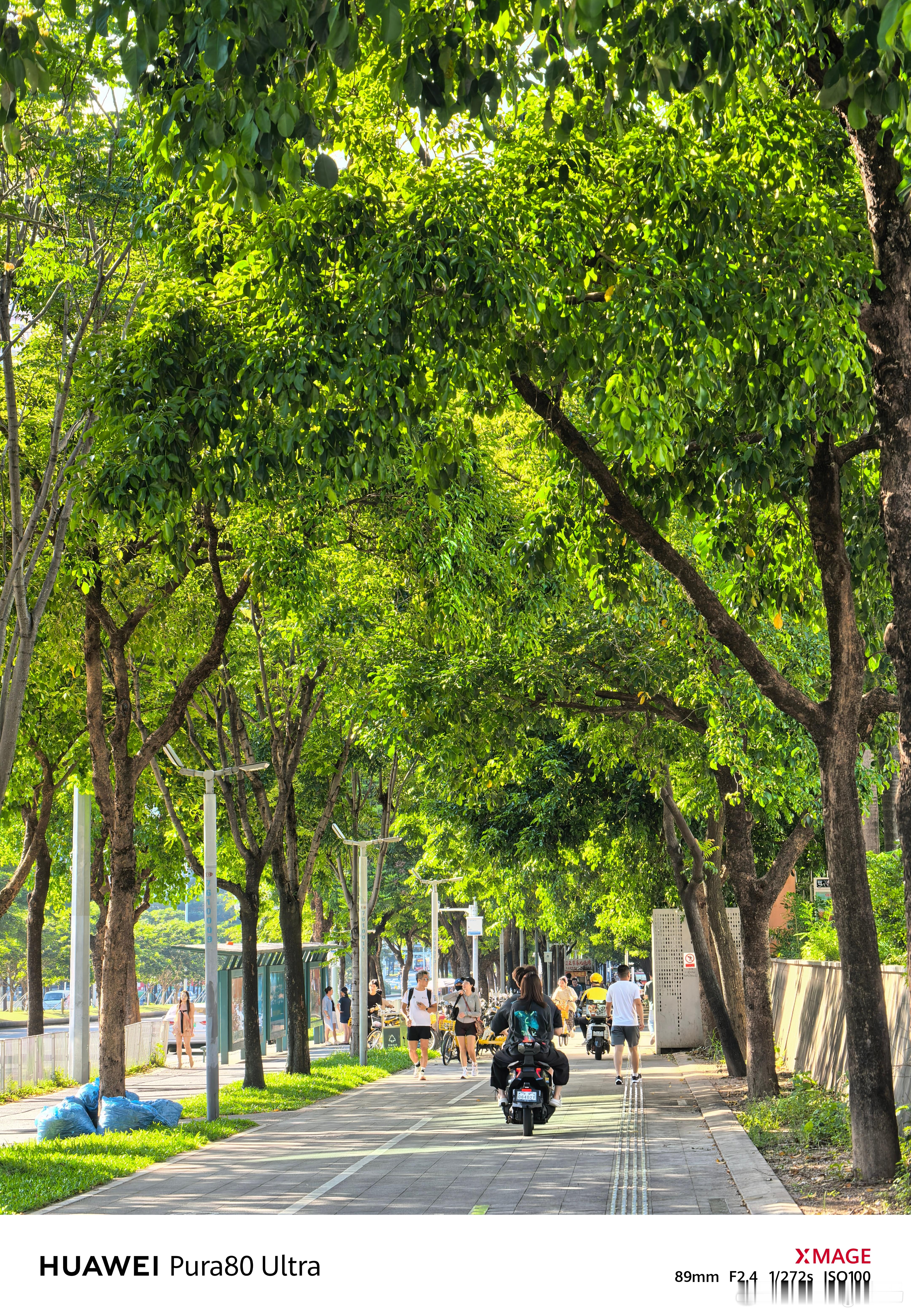 梦想之城何以深圳何以深圳   深圳这个不排外的城市我要待一辈子[打call] ​