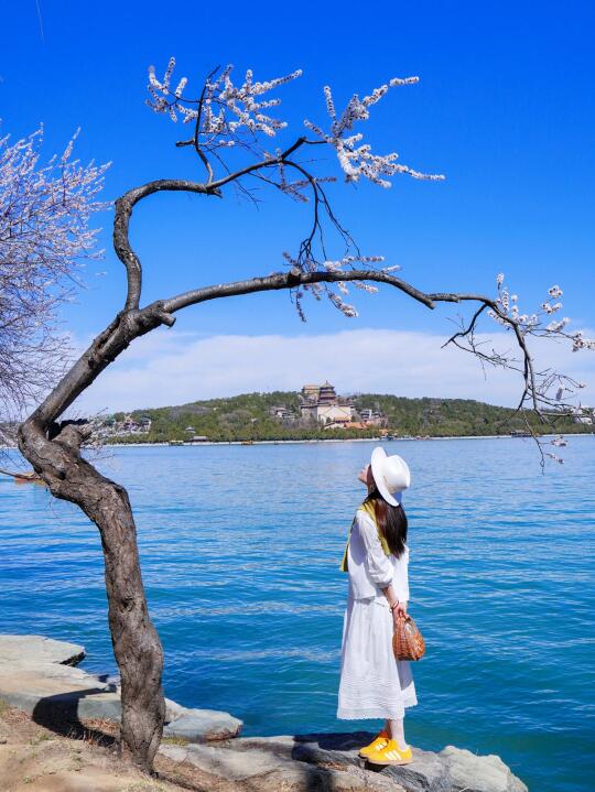 去了50次颐和园，总结的春天🌿懒人版路线！！