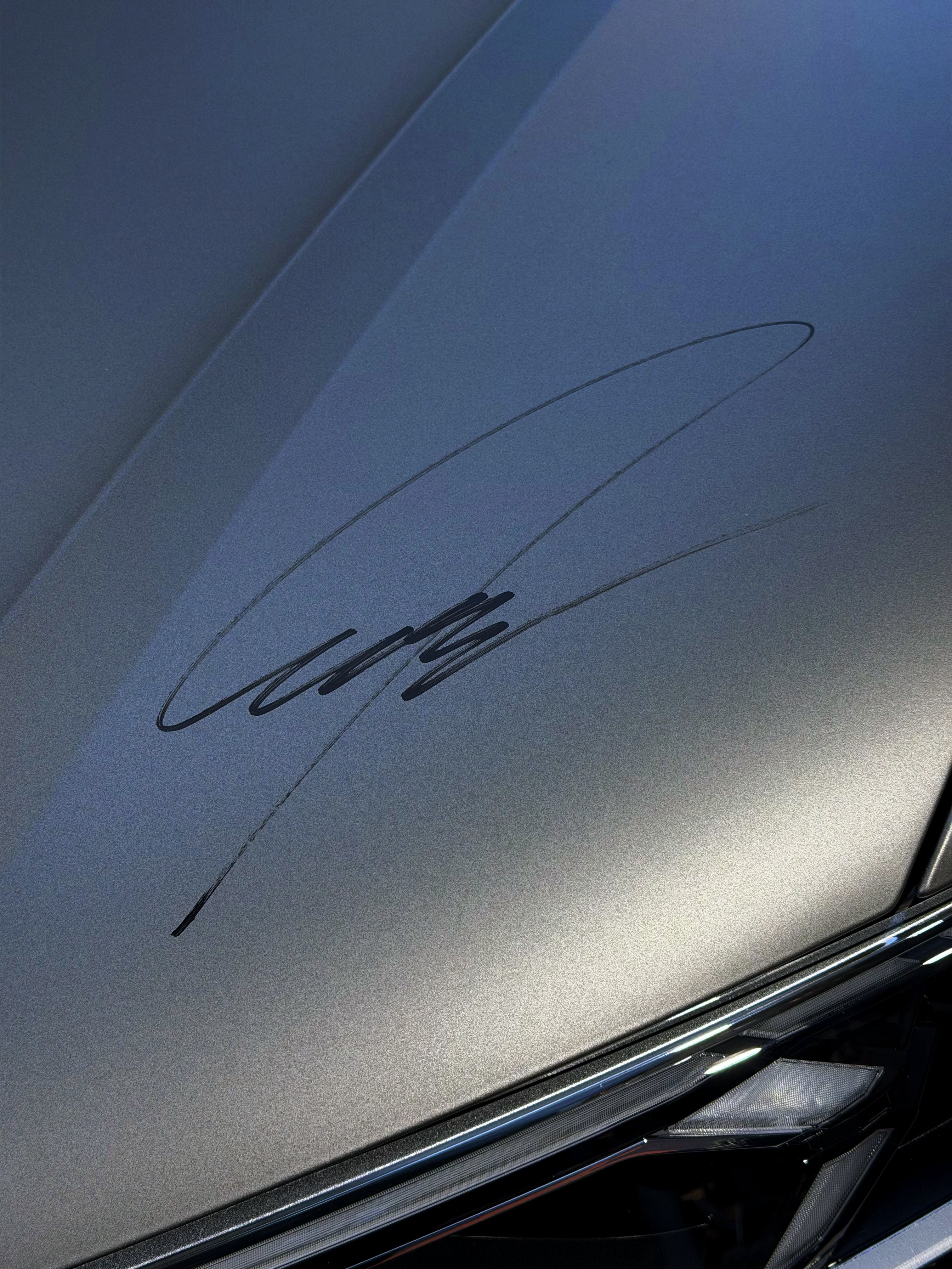 霍肯博格的亲签搞到了，可惜车不是我的  汽场全开