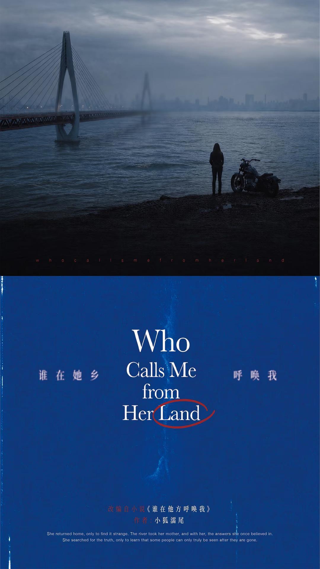 赵露思工作室公布这些ip，看着都是大女主啊，估计大部分自己拍？最后那个逢灯记小说