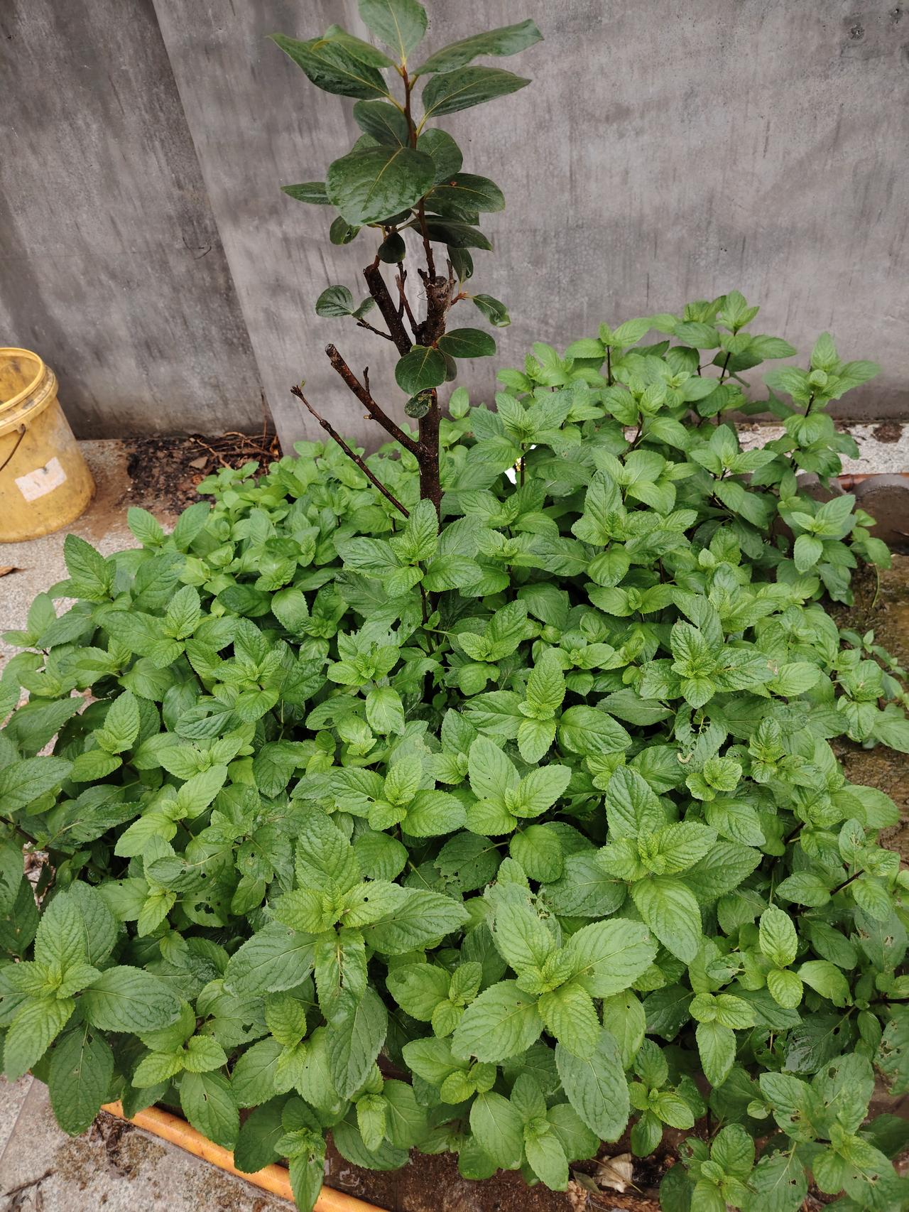 人生是“一次单程旅行”！

年轻就是人生最大的财富！现在的年轻人可能还意识不到，