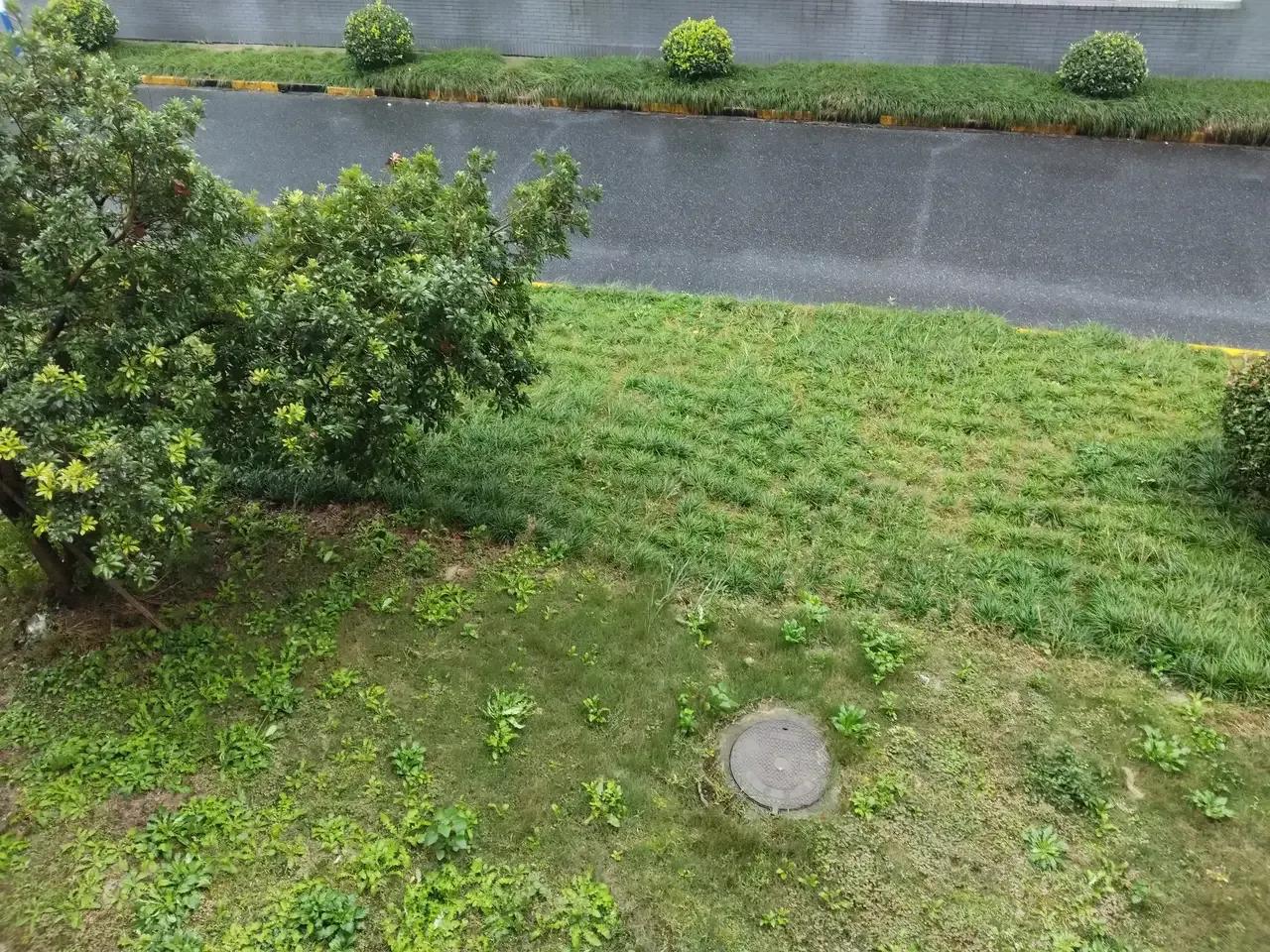 

一场秋雨一场寒，
十场秋雨穿上棉。
南阳大地早见霜，
杭州青草绿旺旺。

南