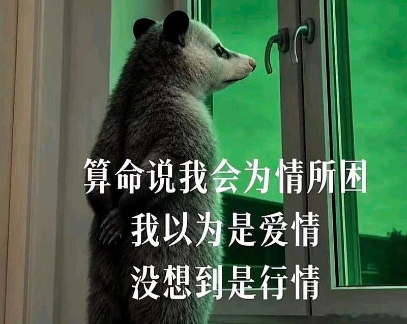 打完这个打那个，涨完这个涨那个，卖完这个卖那个，虽然目前行情做起来如鱼得水，还是
