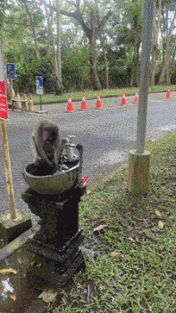 用完水不关龙头的，不如畜生 