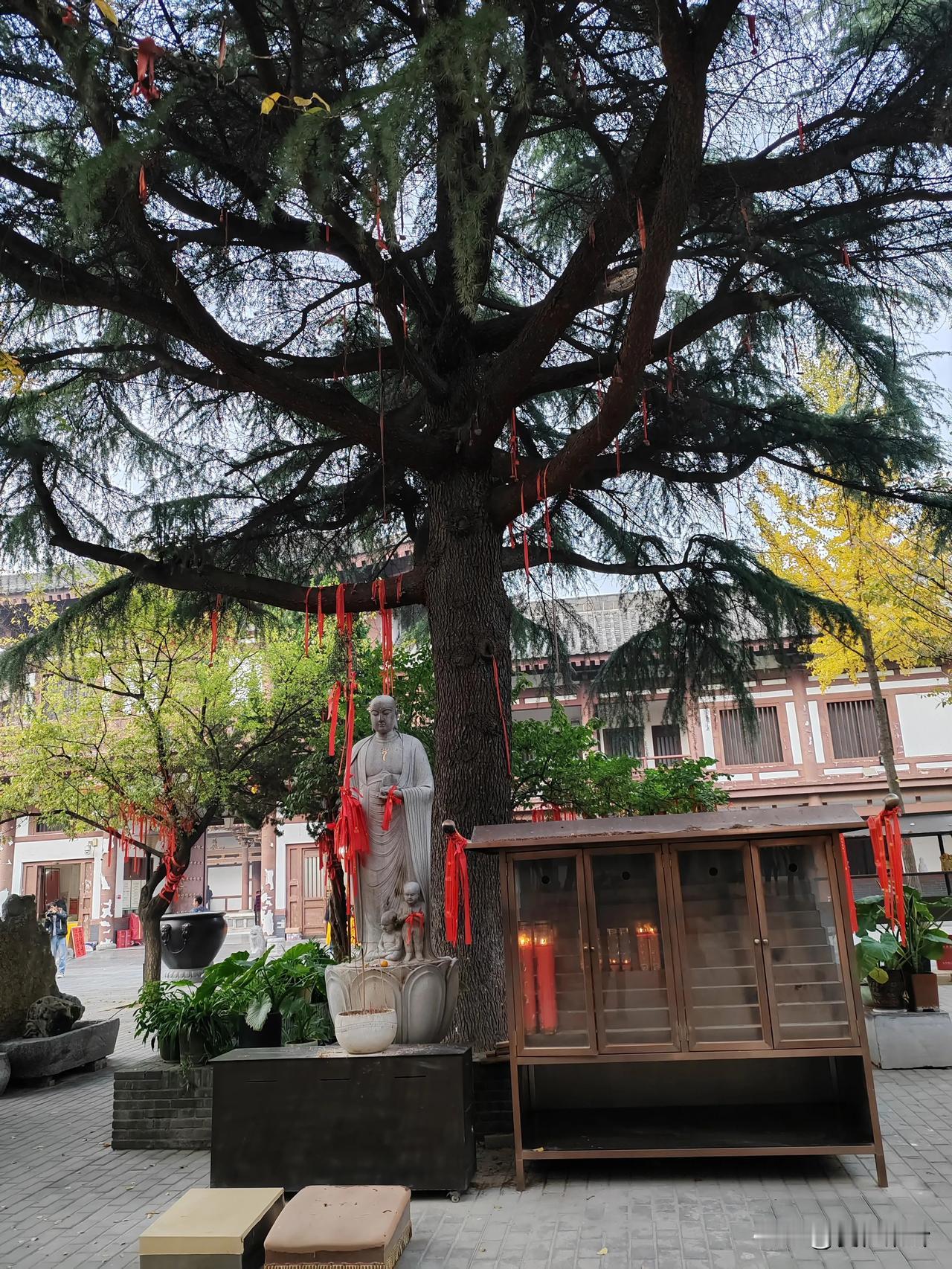 #随手拍张照#
       在西安市青龙寺里，偶遇一尊慈祥的佛像，红绸飘飘，愿
