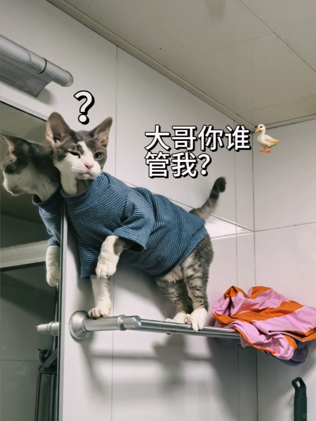 没有什么地方是德文上不去的