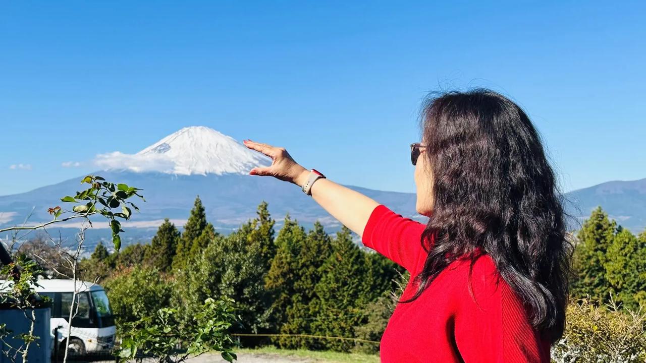 历尽冰霜偏未死
一朝鲲化欲鹏飞
天风吹动狂波起
——《踏莎行》叶嘉莹1980