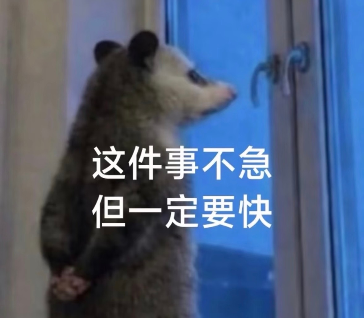 李炫君  🌟【粉丝应援留言册征集通知】🌟李炫君的生日即将到来，个超正在筹备一