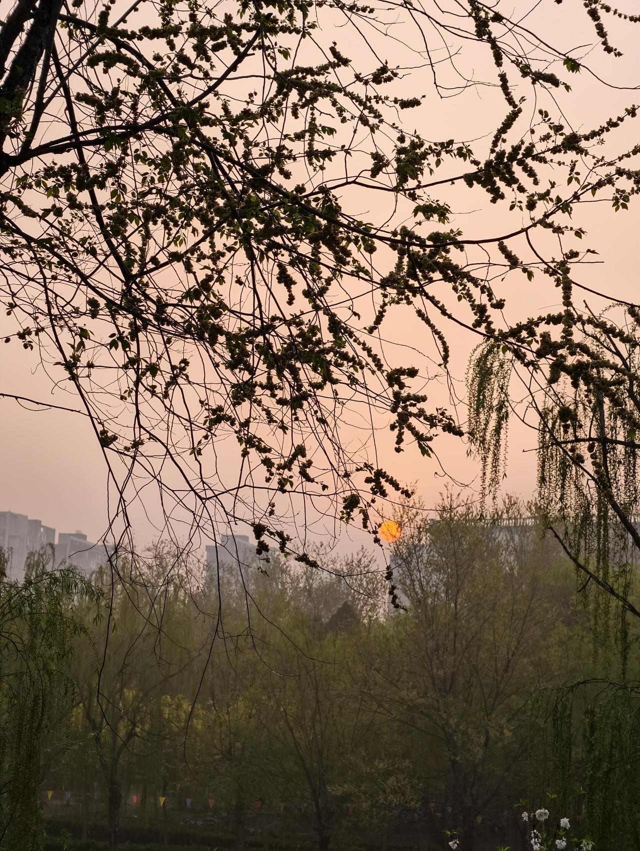 发一张图片看看你们的人间仙境仔细观察，细细品味，仿佛就是人间仙境！