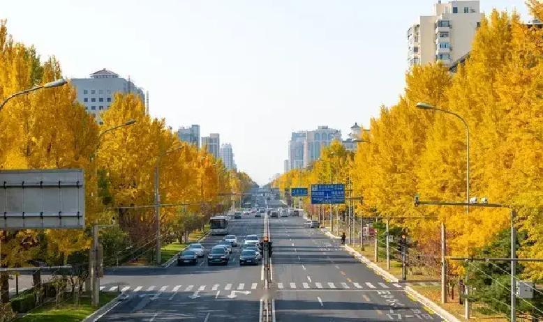 姐妹们注意啦，如果你的他出现以下三种情况，可能真的对你没感觉了，别再傻傻付出了！