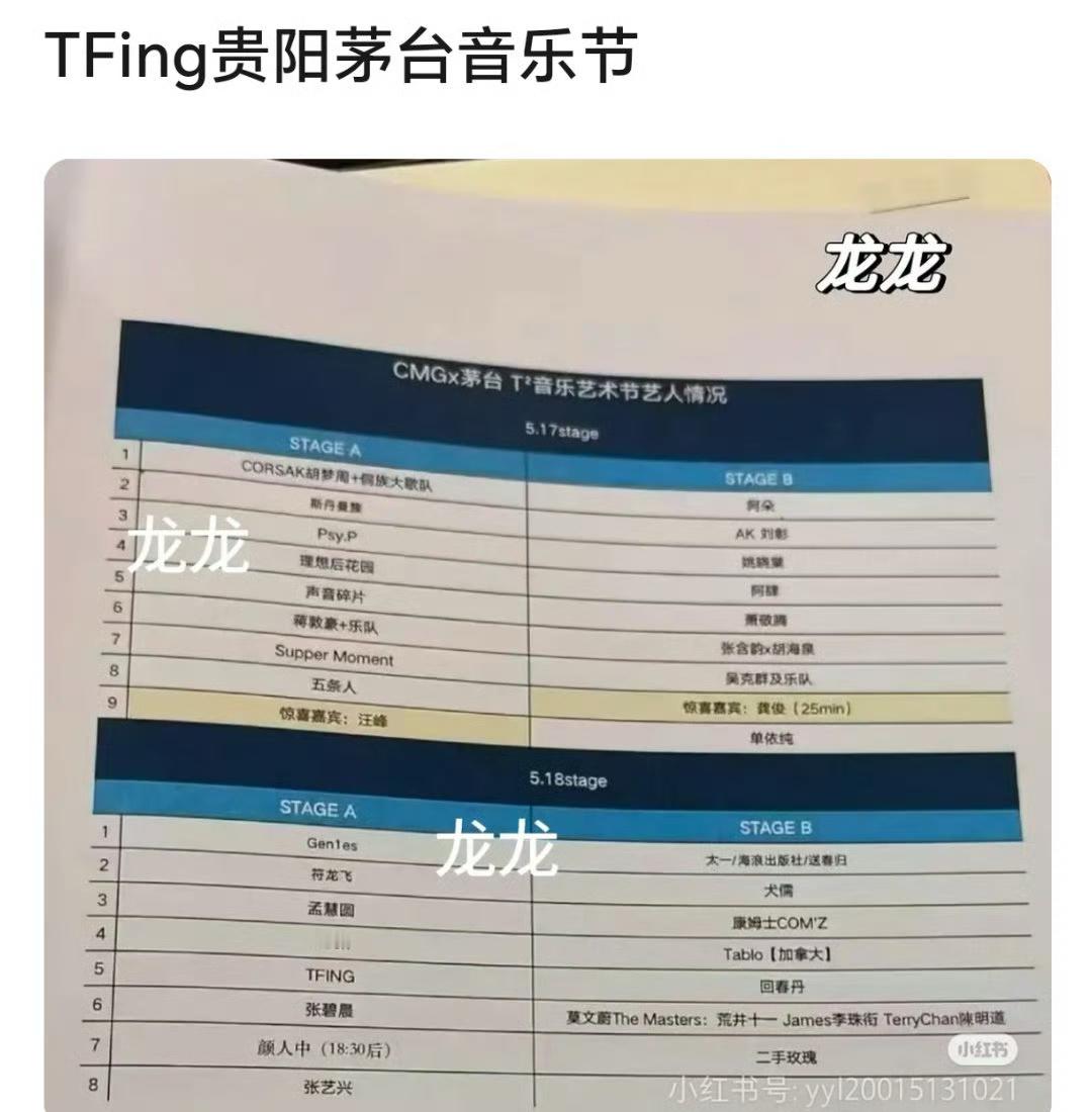 tfing贵阳茅台音乐节🈶 就是这个阵容，能抢到票吗？[偷笑] ​​​