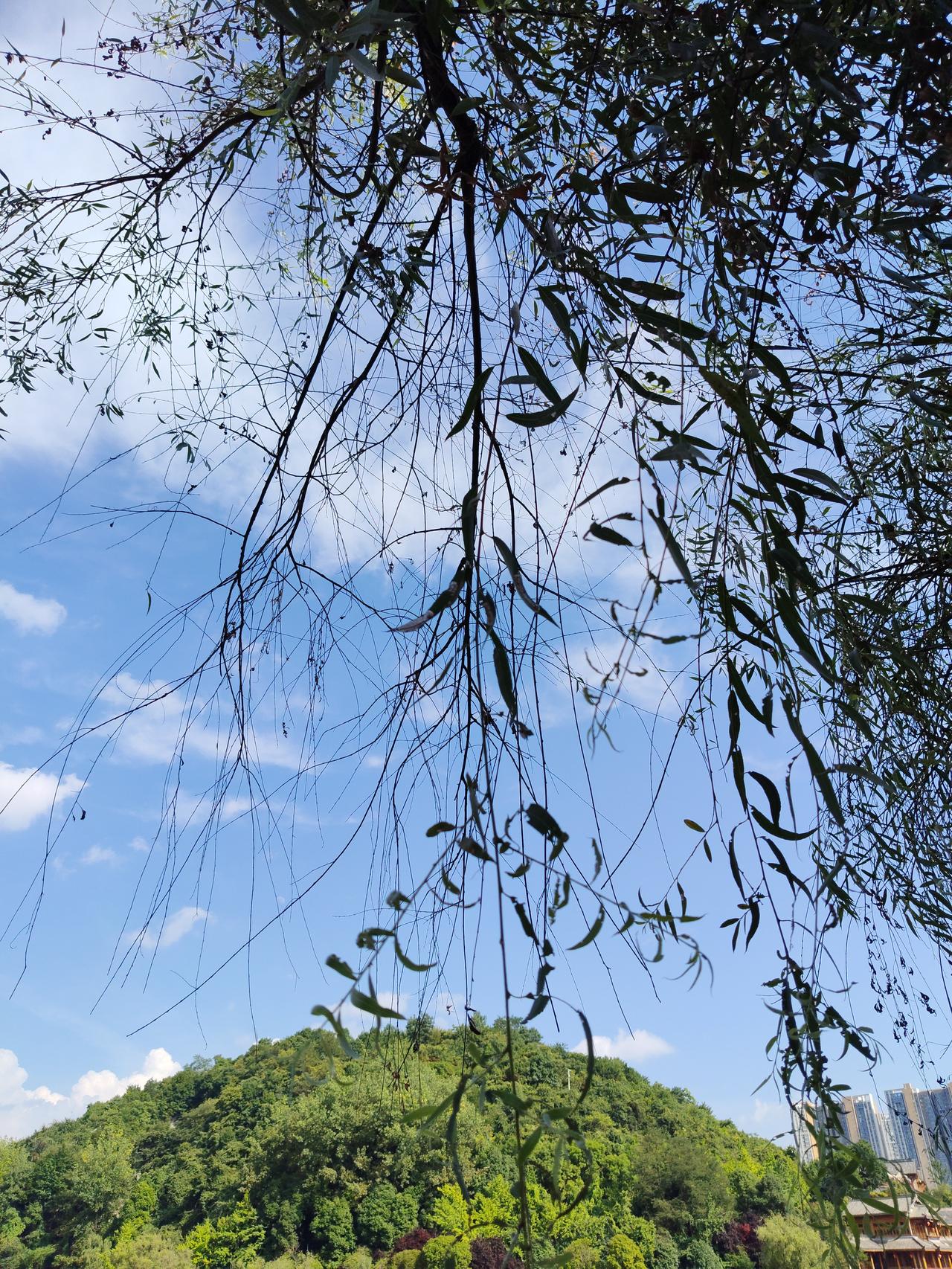 现在科技板块哪些高估值的，几百倍PE的，看都不要看了，有多远离多远，不要去高位接