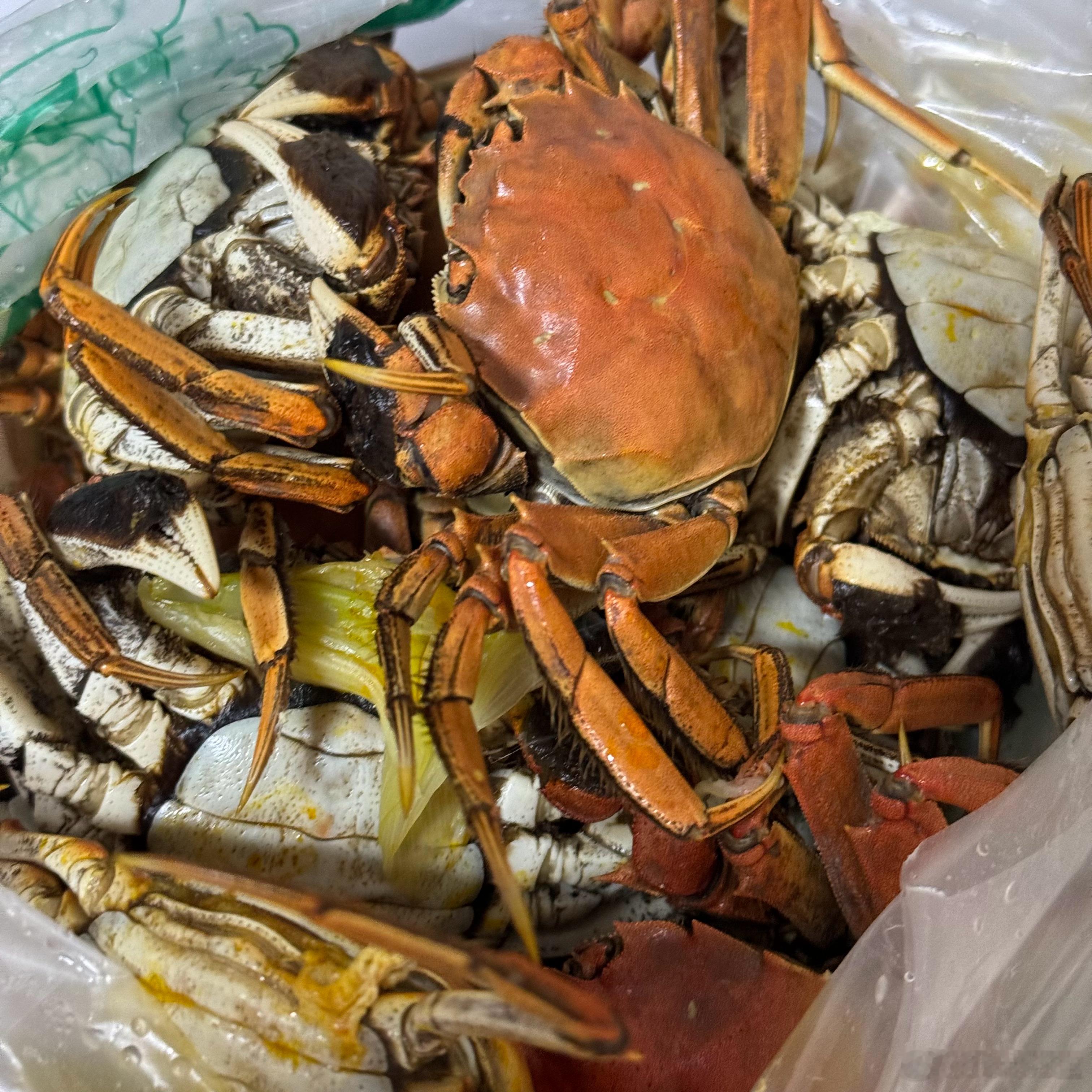 今年的盘锦河蟹，还是挺肥的[柯基] ​​​