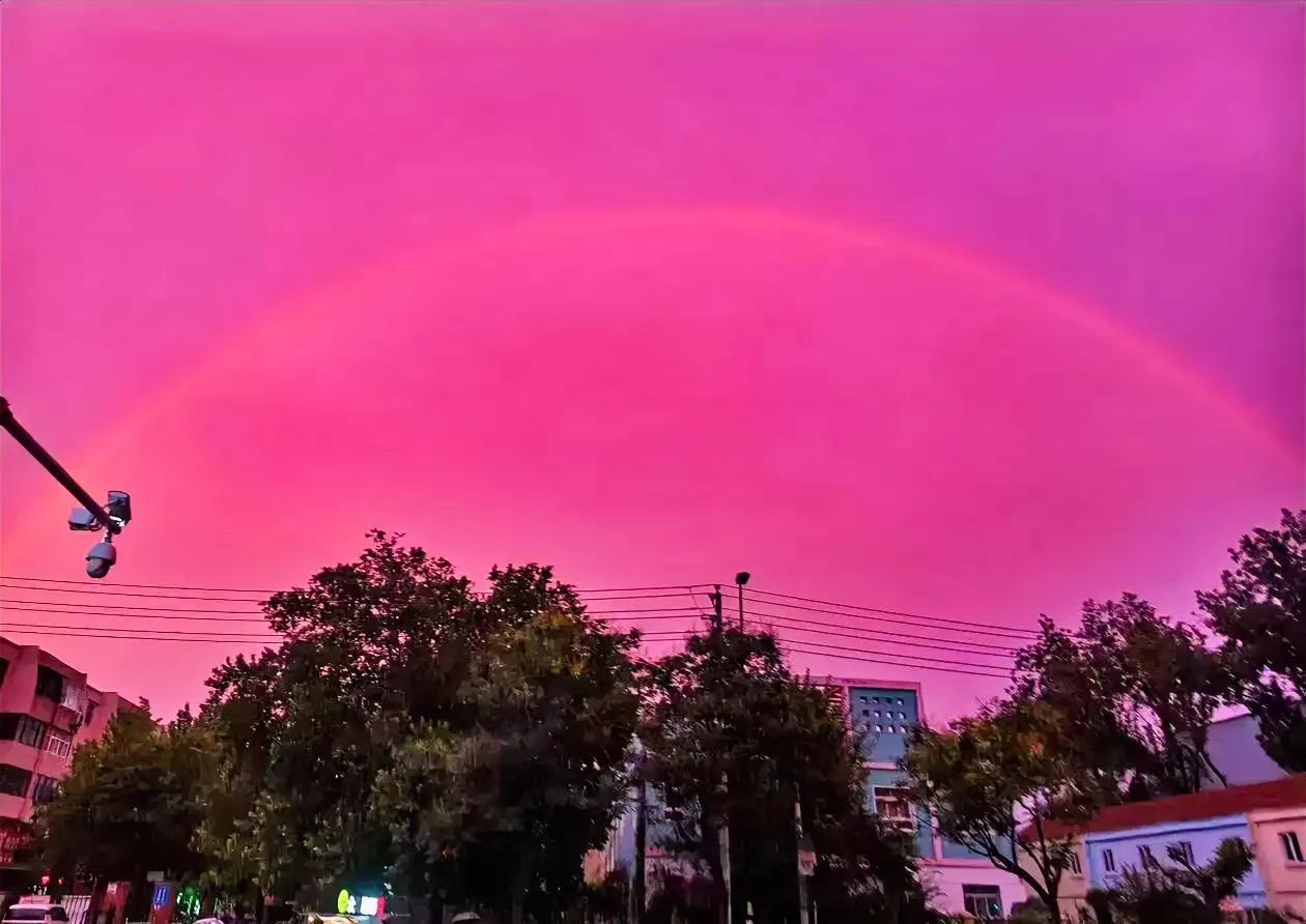 情绪管理，才是成年人最顶级的自律

你的情绪，远比你想象的更有力量。它是你内在的