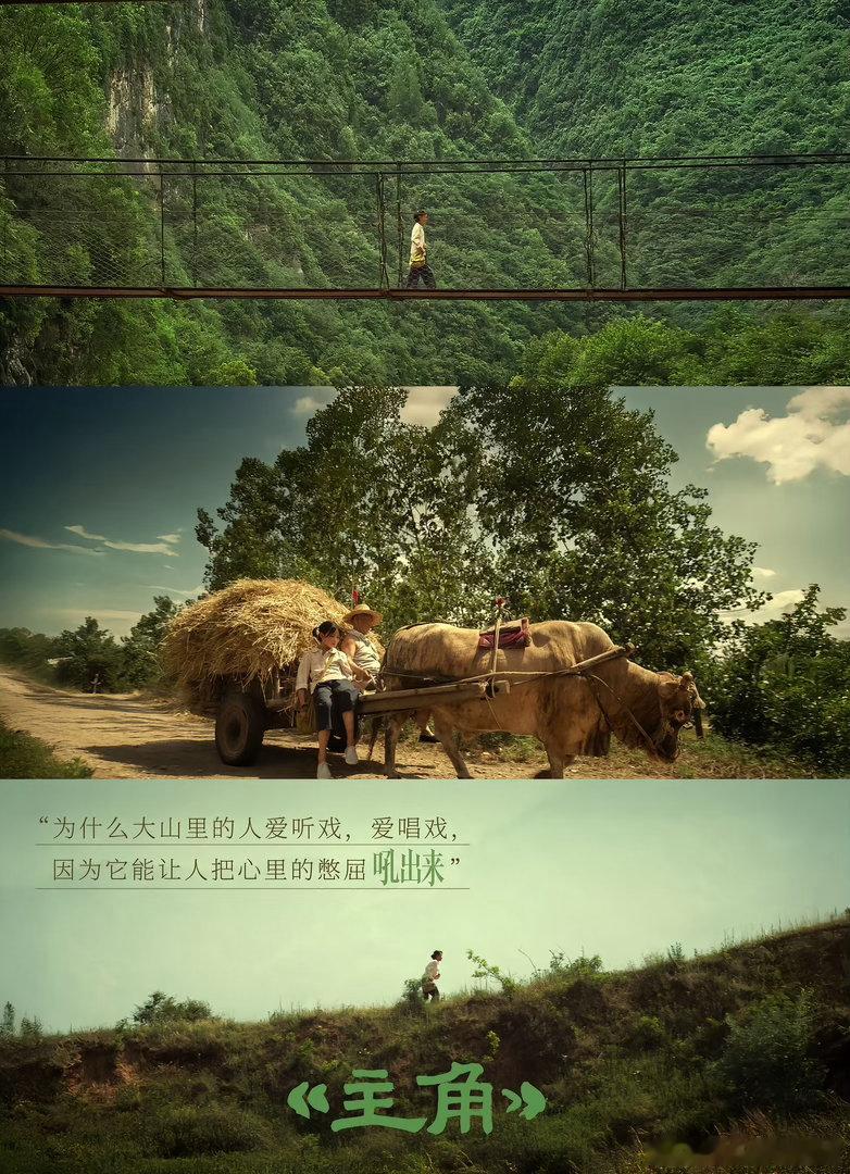 主角是今年最好的悬疑剧电视剧主角 原著和剧版吵了这么久，其实两边想要的东西不一样