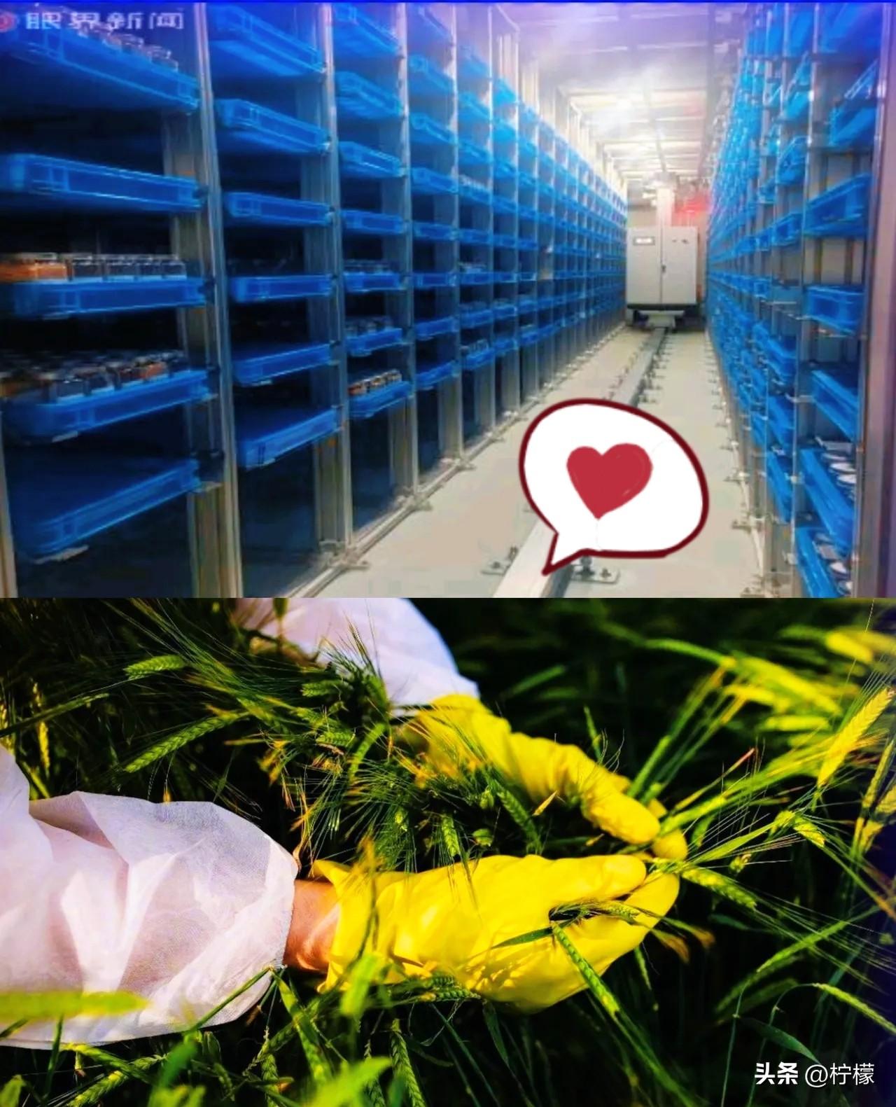 无人机乱撒药、
免费发种子！
农村这些怪事，原来是间谍在搞
鬼！平时大家根本不当