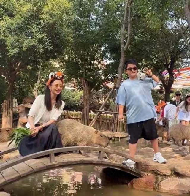 佟丽娅陈思诚带娃：离婚不该成仇！