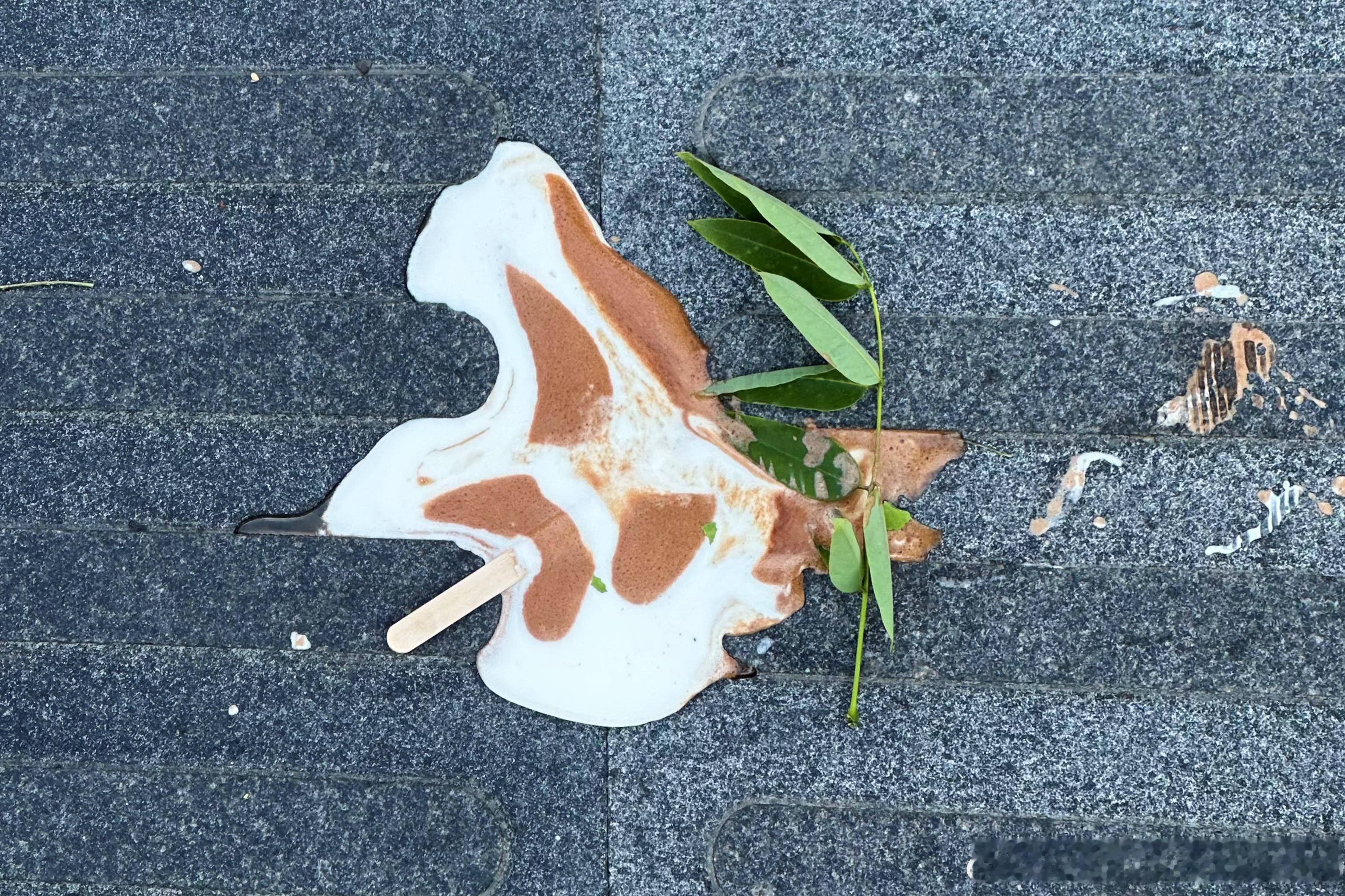 冰棍和它的前主人都不高兴😠 