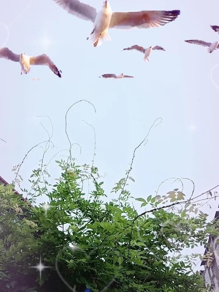 晒图笔记大赛今天天气不错，秋高气爽，凉风习习，又是周末，非常适合出去游玩，有什么