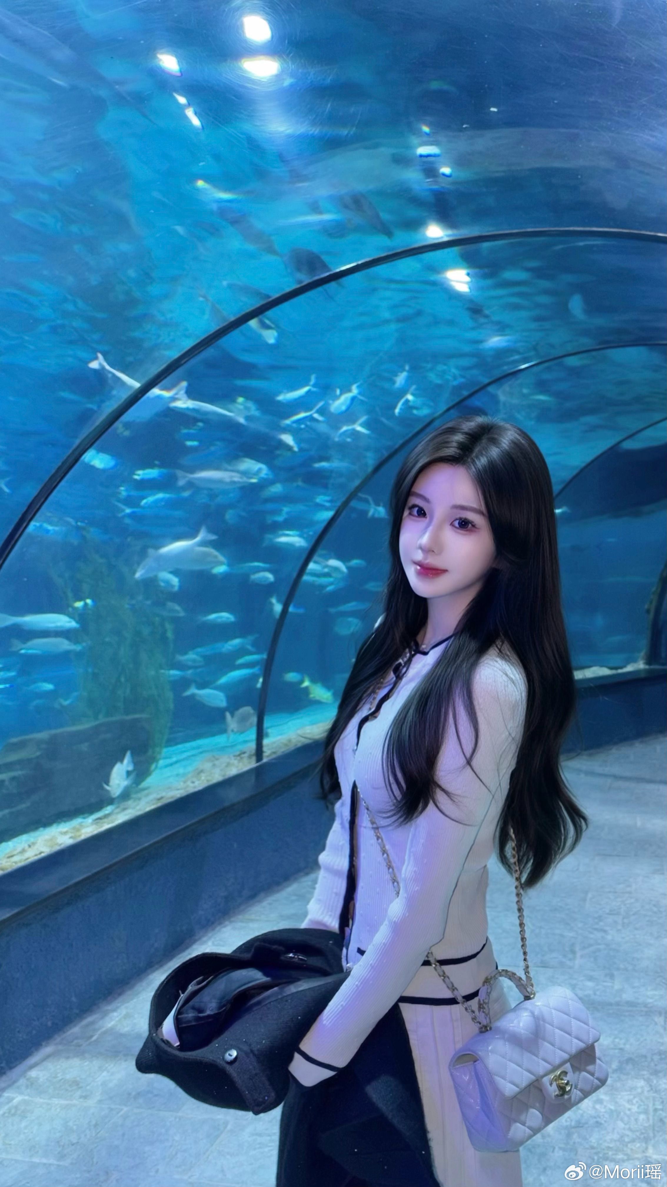 好多鱼🐟🐠🐟🐬🐳🐋🦈🦭🐊 杭州·杭州极地海洋公园