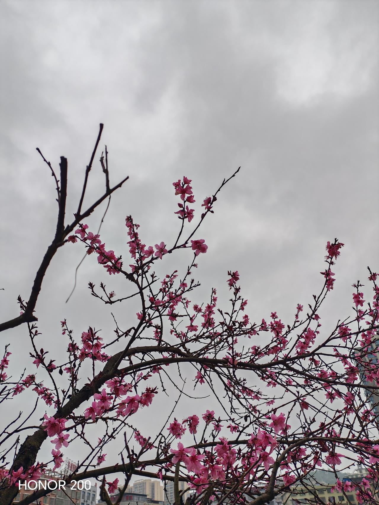 大多数学渣家长焦虑的不是孩子成绩差，而是孩子成绩差已经成为孩子最轻的一个缺点了，